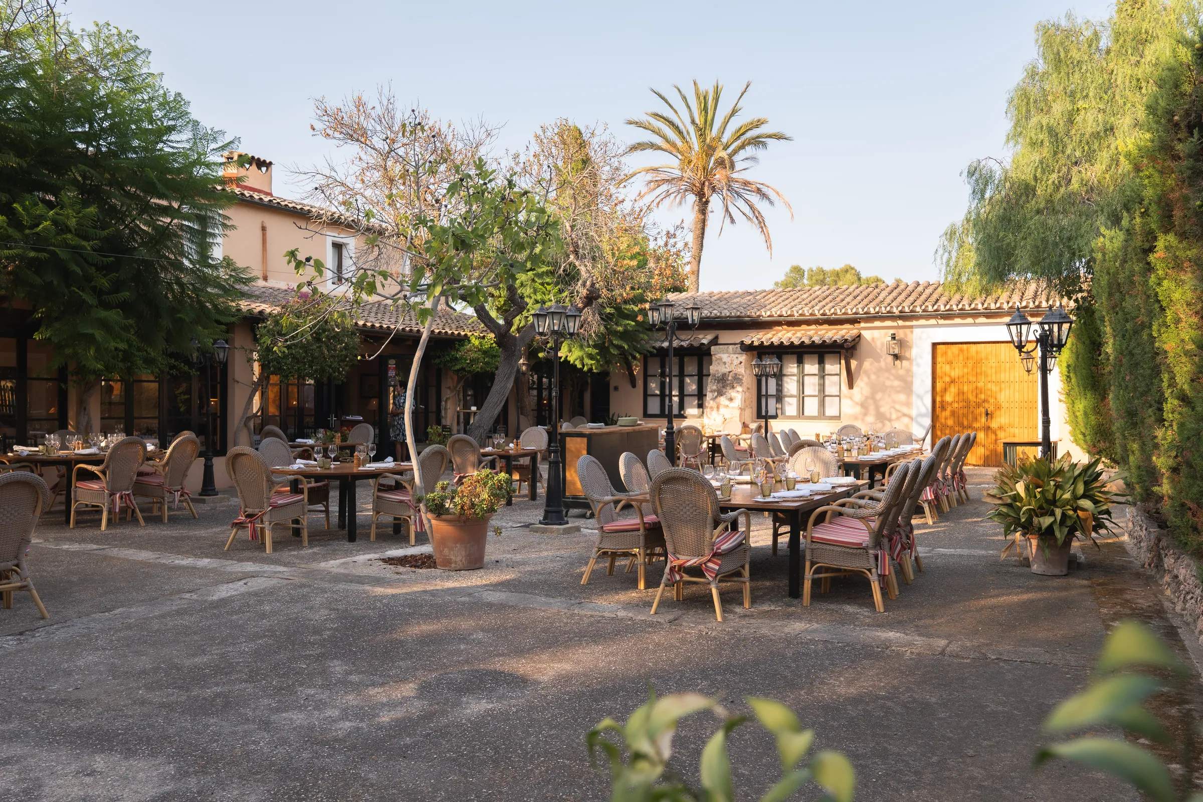 Patio de Ca’s Pastor de día, con la palmera y las mesas preparadas