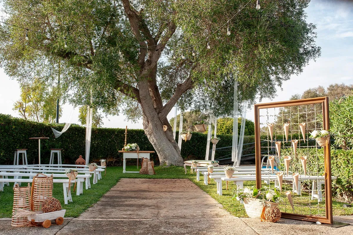 Pasillo de ceremonia bajo el gran olivo de la finca