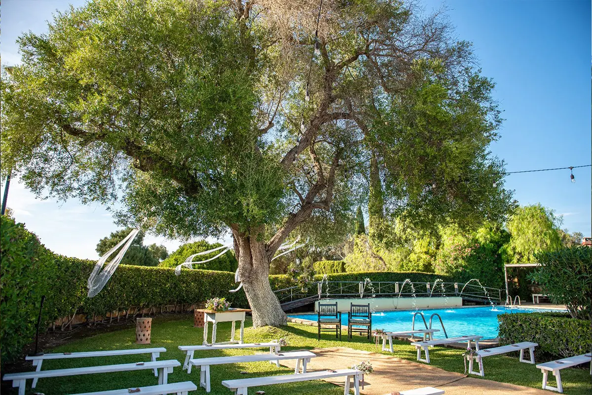 El gran olivo y la piscina de la finca, preparados para una ceremonia