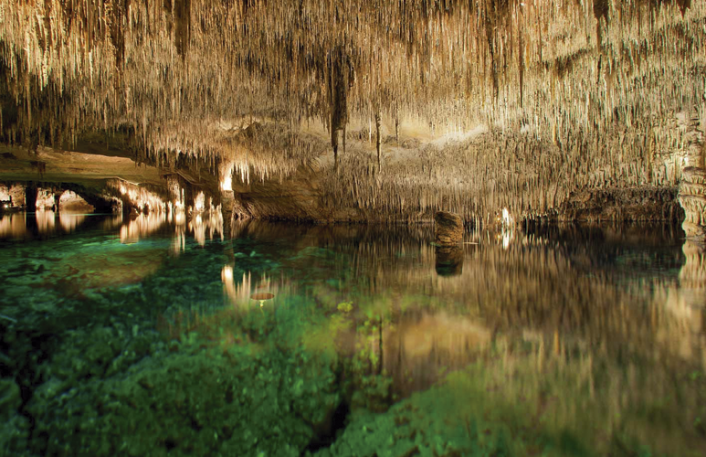 Cosas que hacer cerca de Sa Gruta Nova